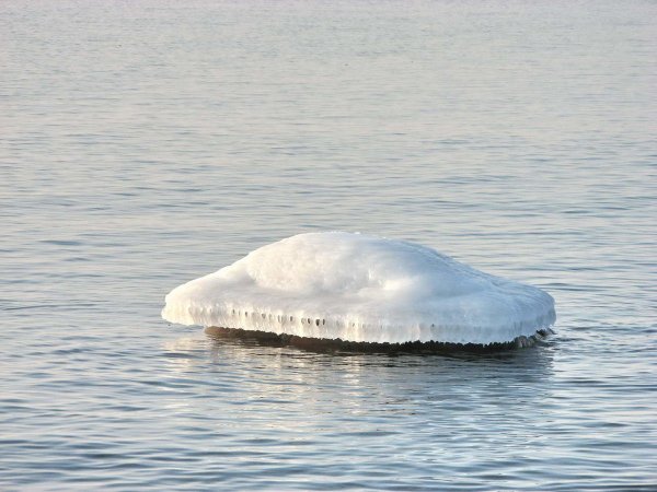 Льдины на воде