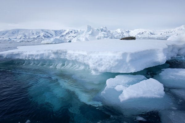 Залив Вильгельмина