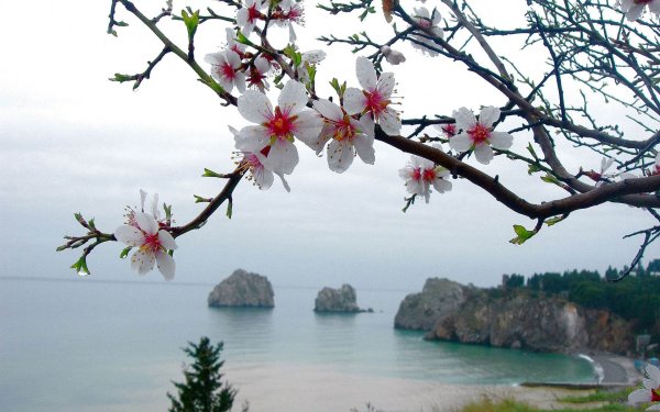 Весна море