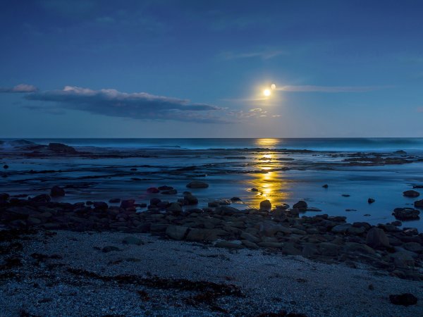 Ночь в море