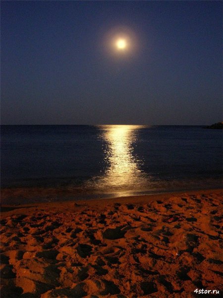 Ночь возле моря
