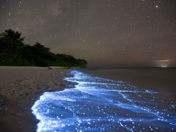 Ночь в море