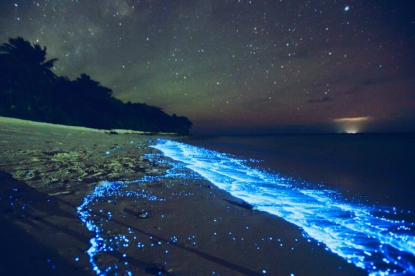 Пара на море ночью