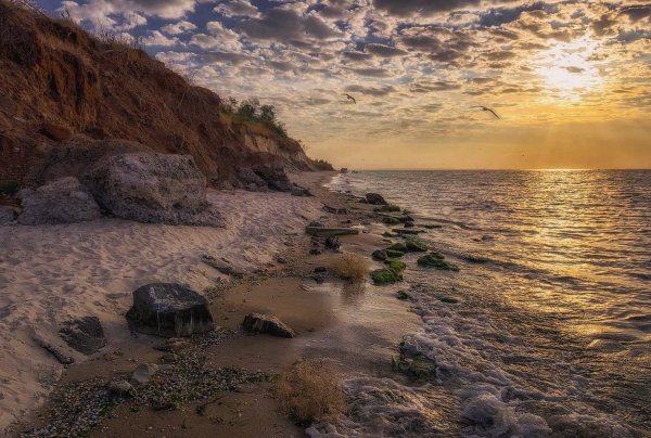 Побережье Азовского моря