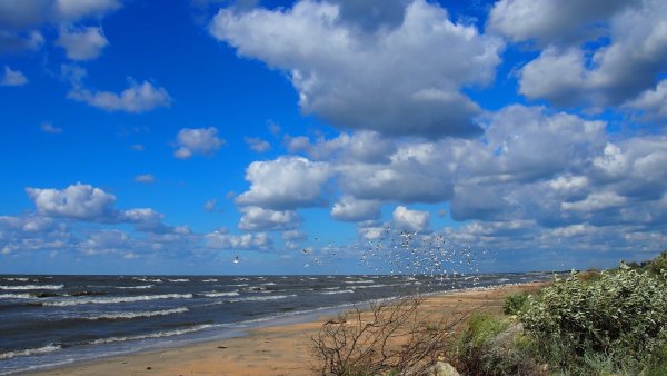 Азов Генеральские пляжи