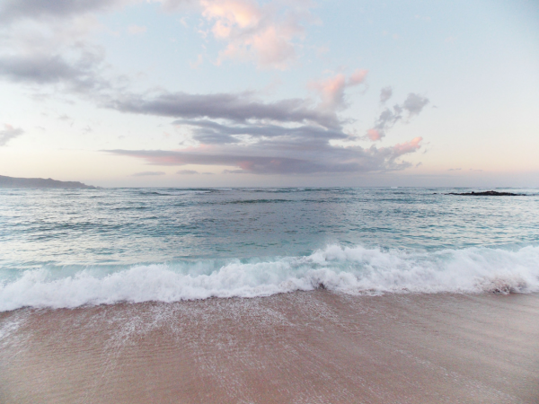 Розовый океан