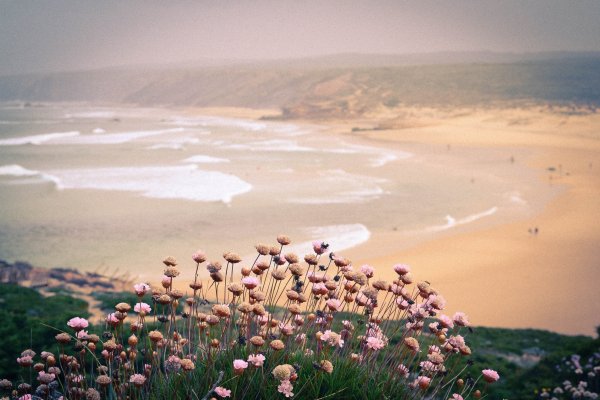Розовое небо с облаками