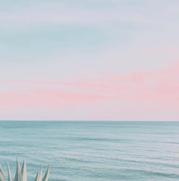 Розы в воде