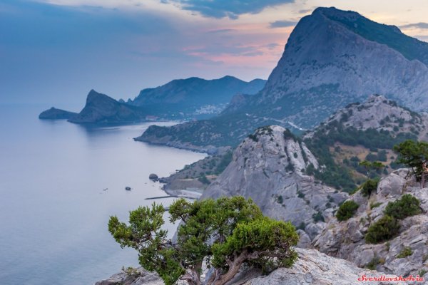 Южный берег Крыма лето