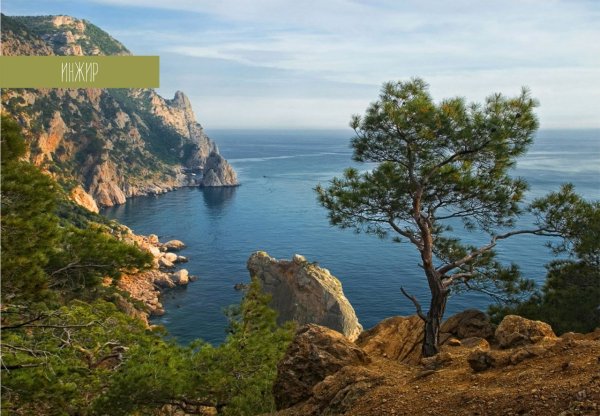 Абхазия горы и море