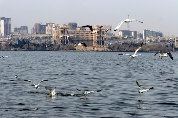 Побережье Каспийского моря Азербайджан