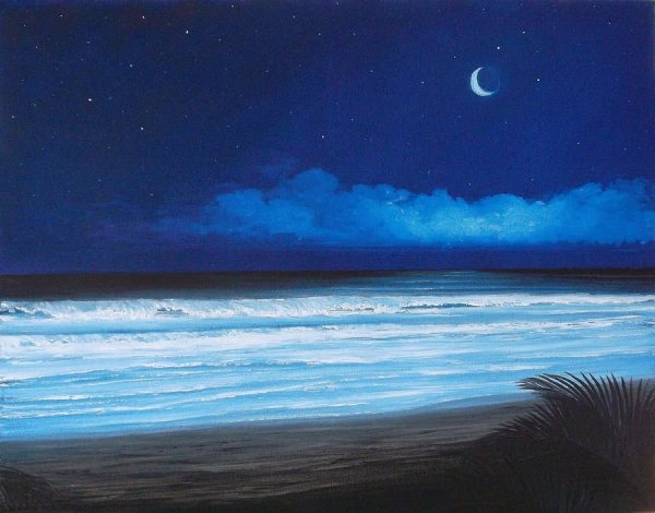 Дельфин Луна