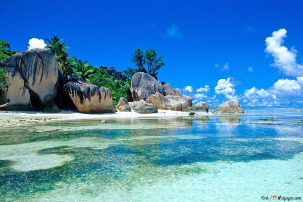 Баннер с изображением природы