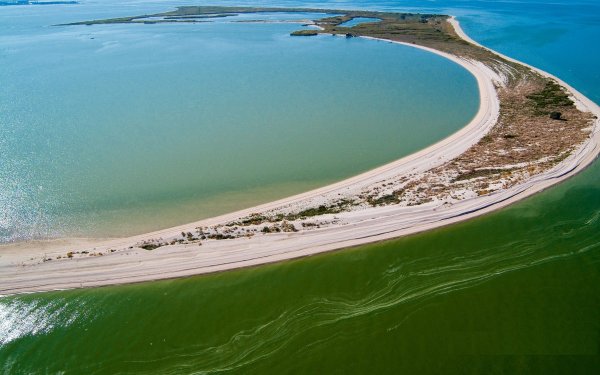 Остров Ейская коса