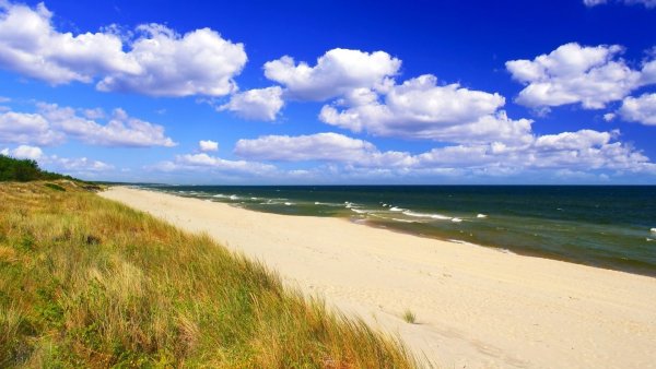 Куршская коса