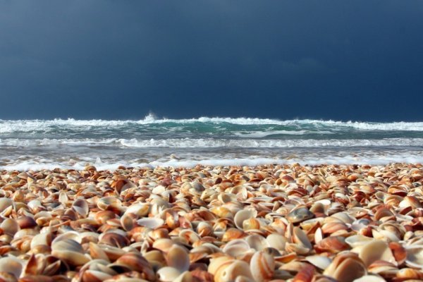 Ракушечный берег Должанской косы на Азовском море