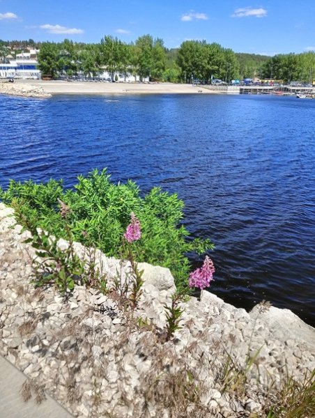 Село Ягодное Самарская область