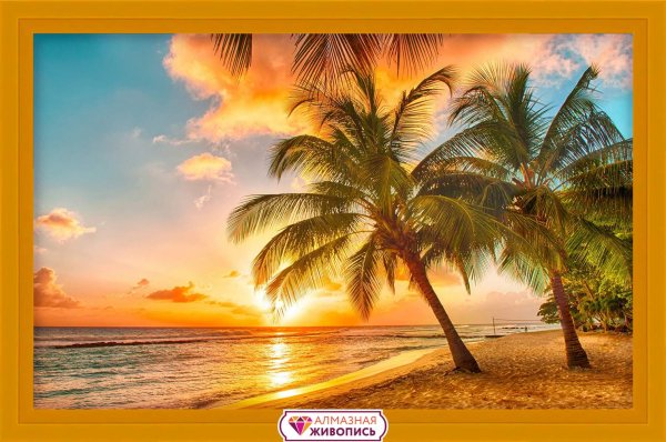 Индия Гоа океан