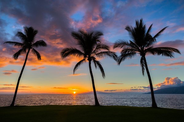 Море пляж пальмы