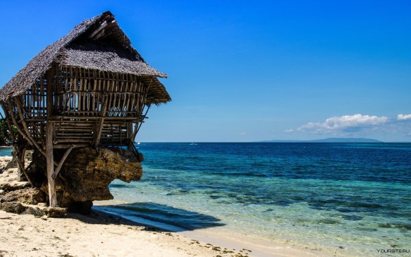 Вуд Сара домик на побережье