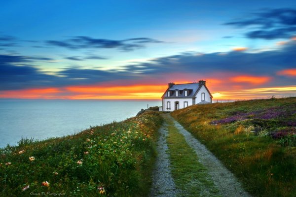 The Rock Занзибар