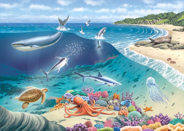 Жизнь океана для детей