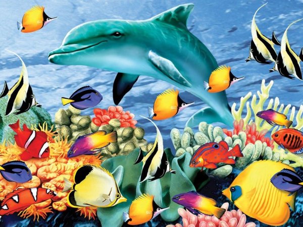 Обитатели морского дна