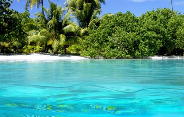 Море закат волны