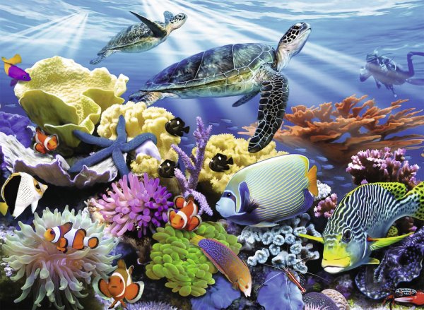 Морские жители