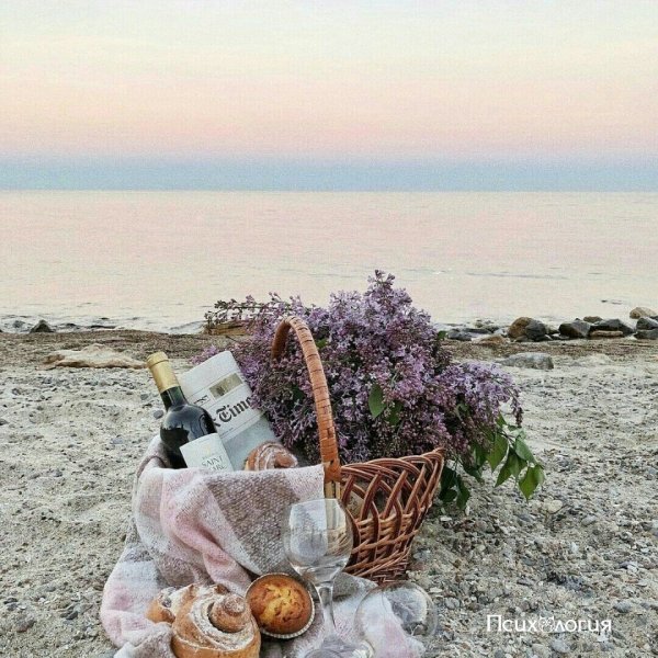 Вид из окна автомобиля на море