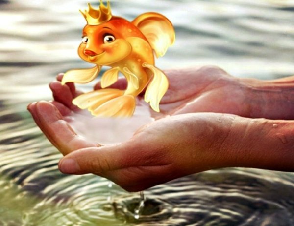 Красочная рыбка