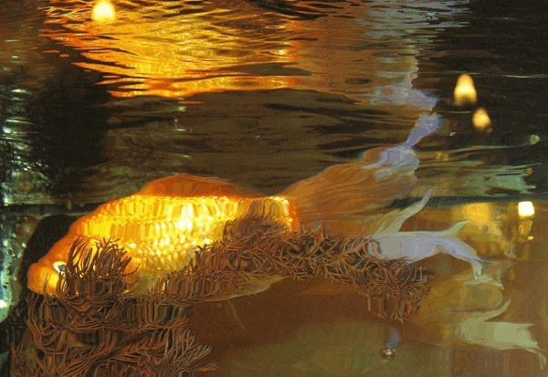 Рыбка уплыла