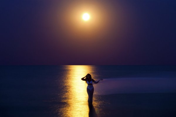 Лунная ночь девушка