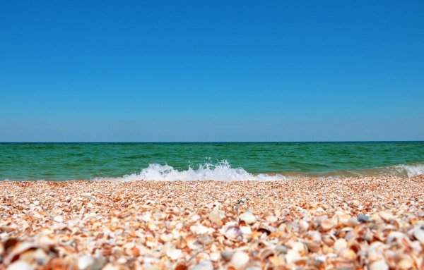 Черное море Сочи