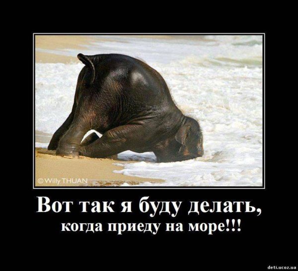 Шутки про отдых