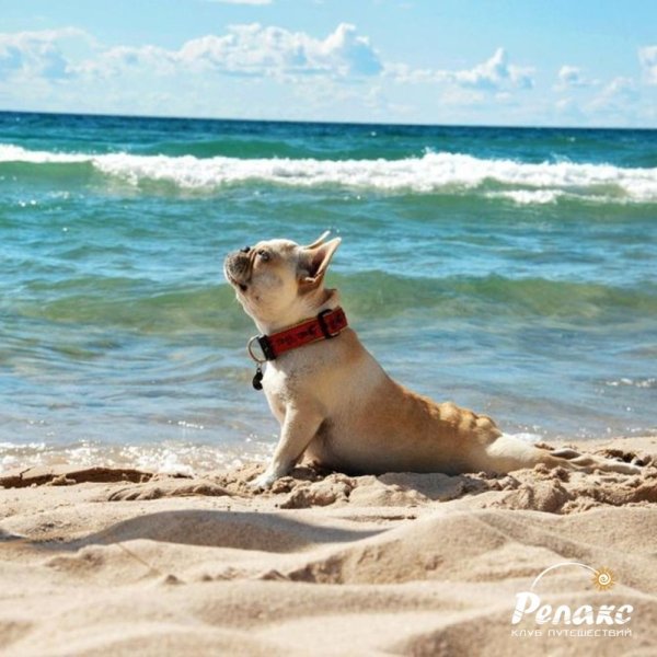 Хочу на море