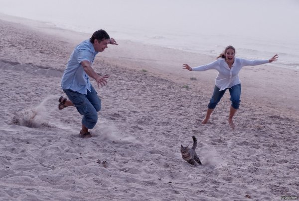 Мемы про пляж