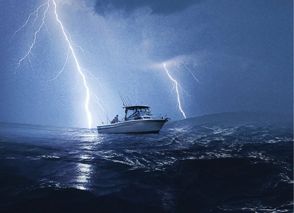 Ночная природа