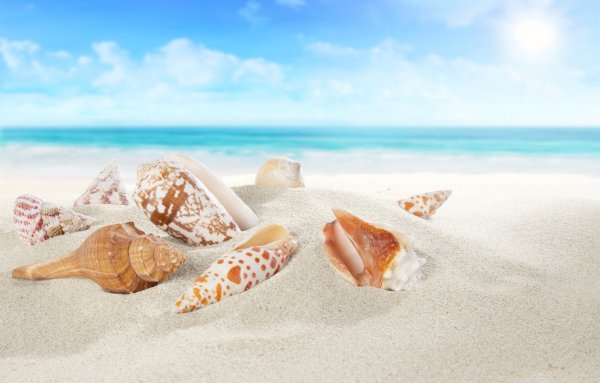 Морской песок