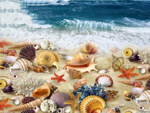 Морской пейзаж с ракушками