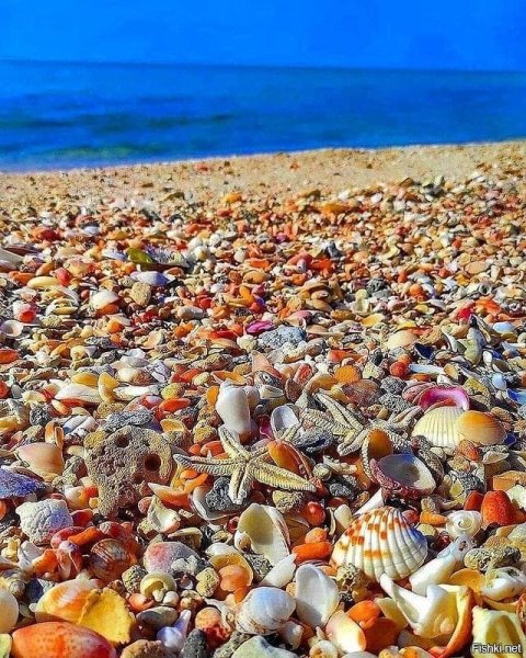 Феодосия ракушечный пляж