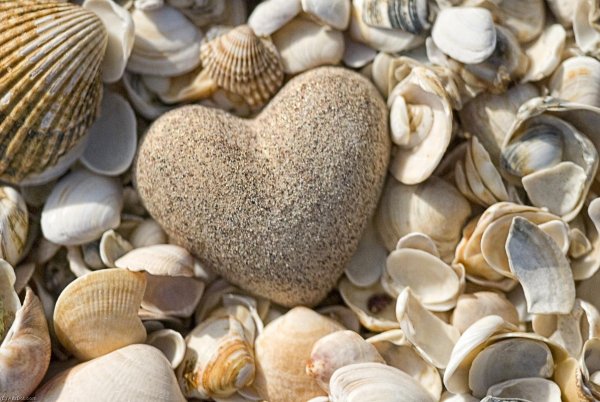 Морские камни