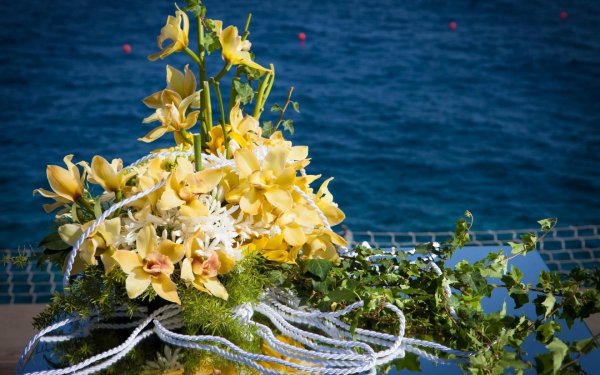 Экзотические цветы и море