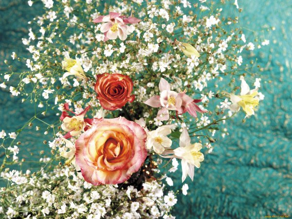 Цветы букет