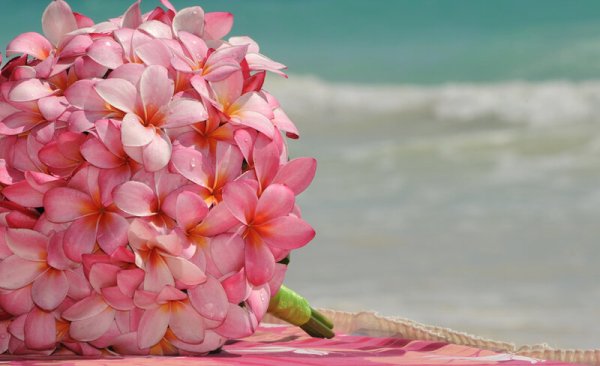 Экзотические цветы и море
