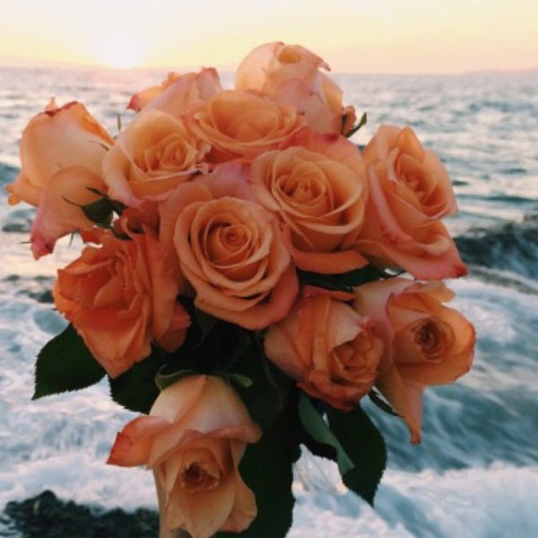 Шикарный букет у моря