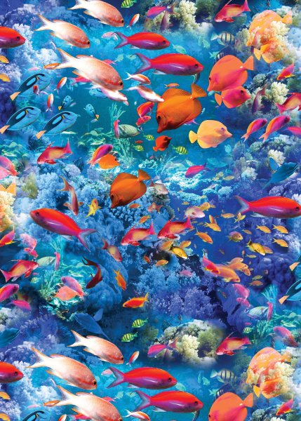 Голубое море с рыбками