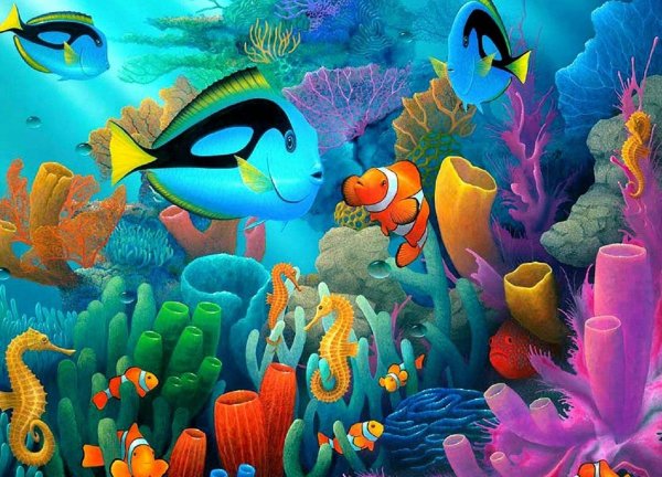 Большой Барьерный риф подводный мир