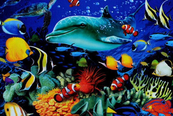 Тропические рыбки