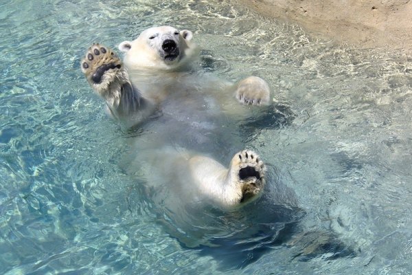 Надпись на песке на море